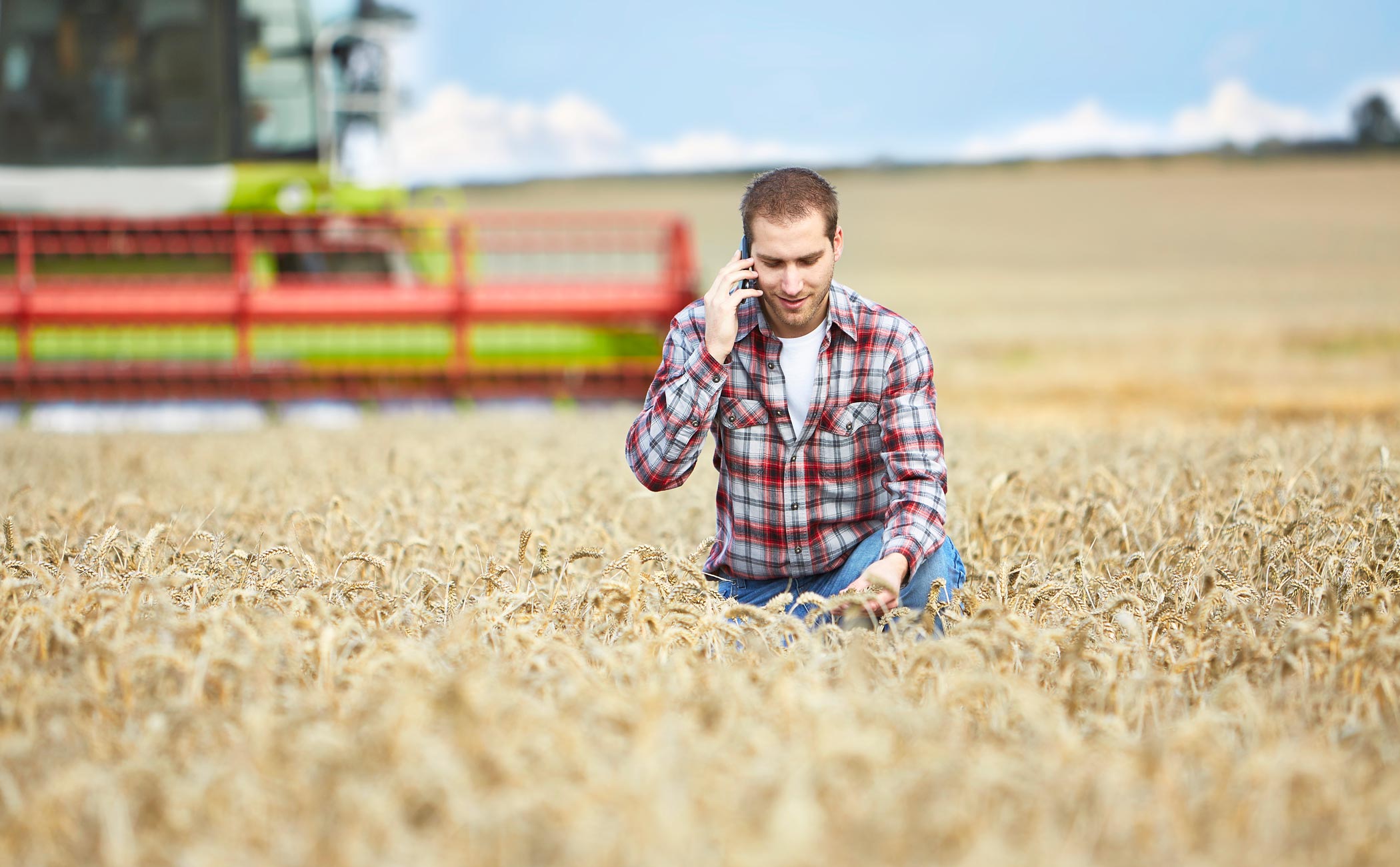 man in checked shirt on phone in a field of crops